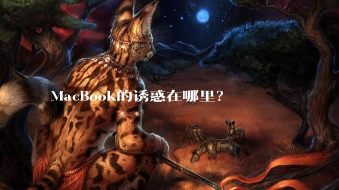 MacBook的诱惑在哪里？