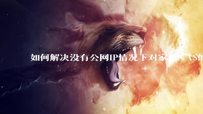 如何解决没有公网IP情况下对家里NAS的高速远程访问？