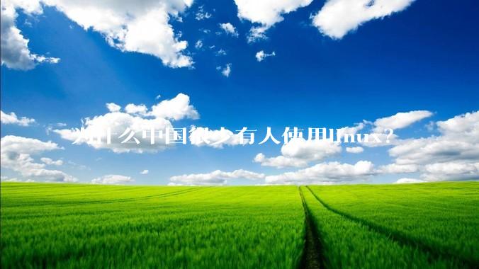 为什么中国很少有人使用linux？