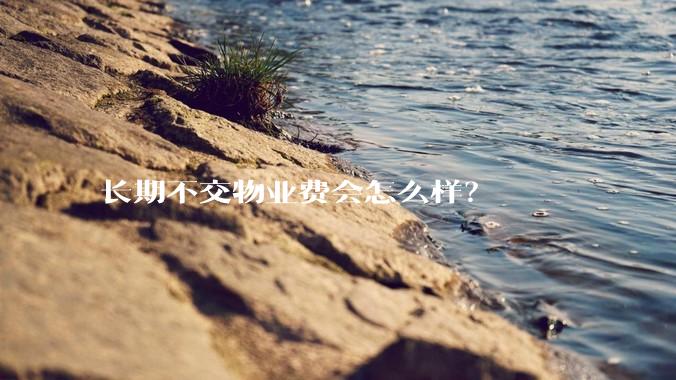 长期不交物业费会怎么样？